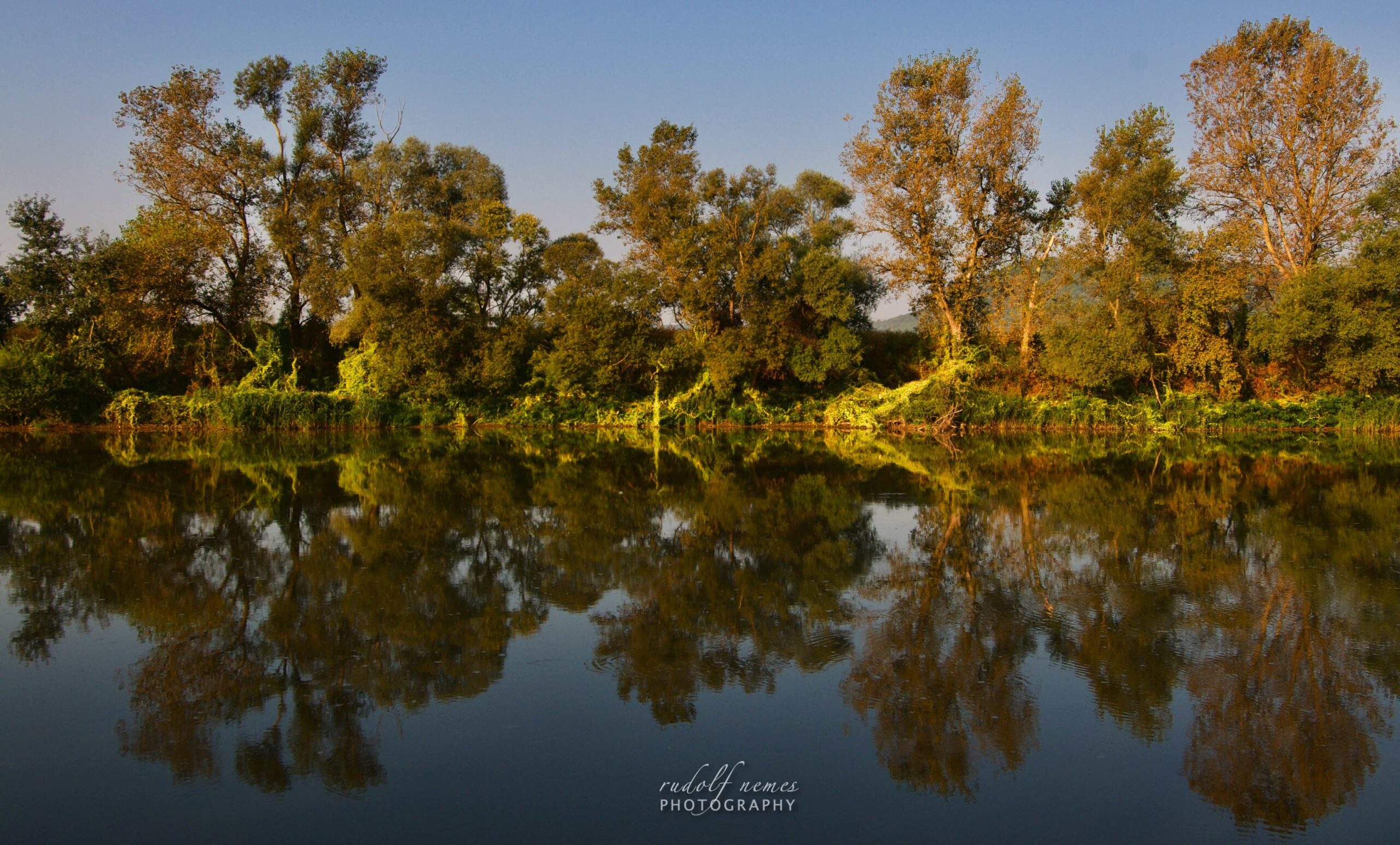 Summer dream on the river bank